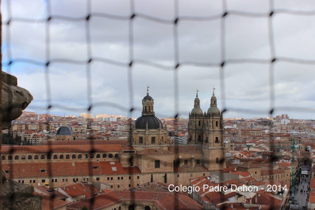 2014 03 22 SALAMANCA IERONIMUS CATEDRAL TORRE DEL RELOJ (132)